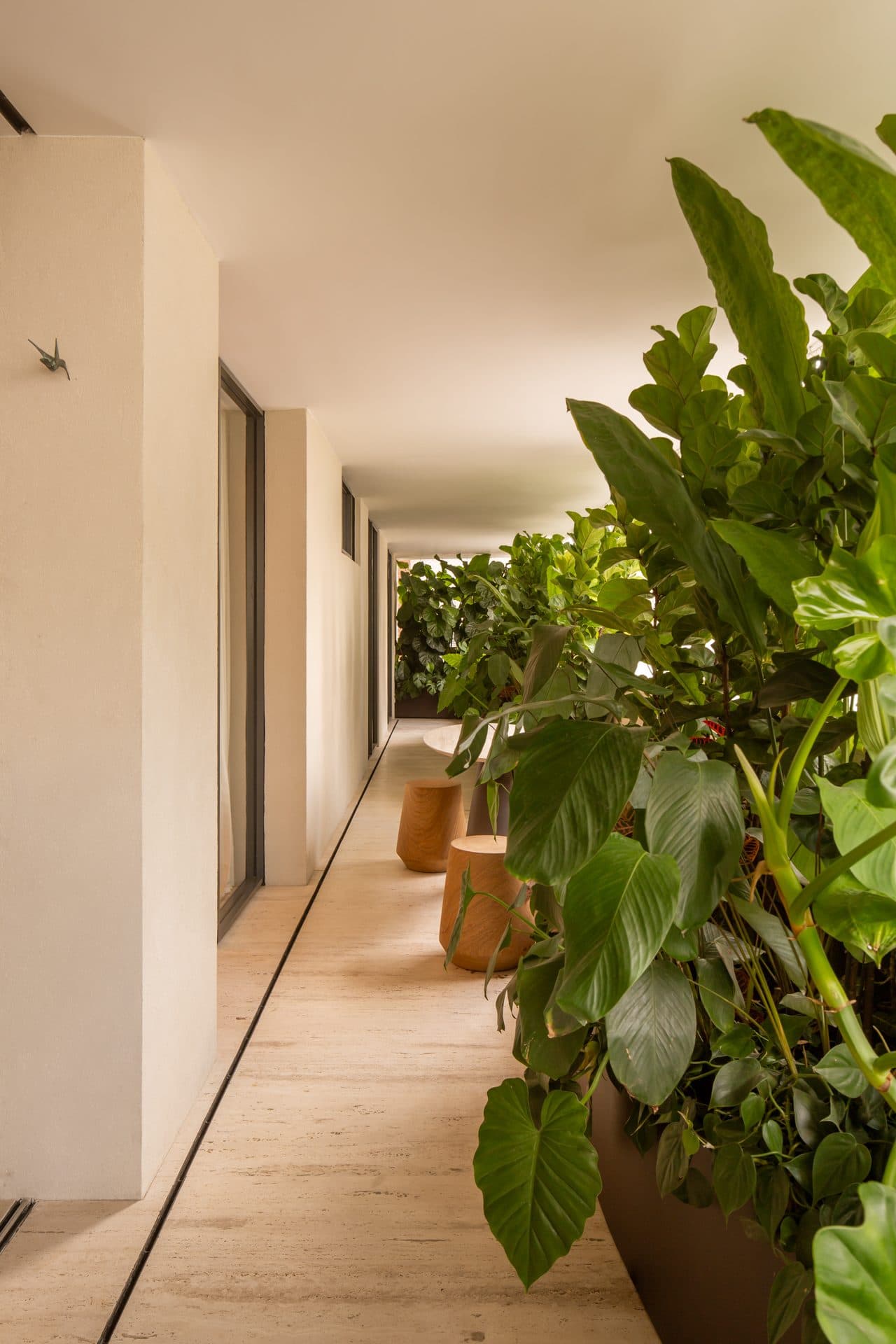 Apartamento MJT — imagem 12